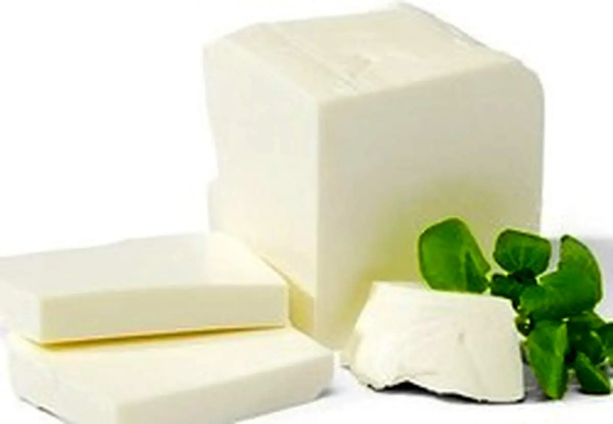 چگونه از پنیر نگهداری کنیم که خراب نشود؟