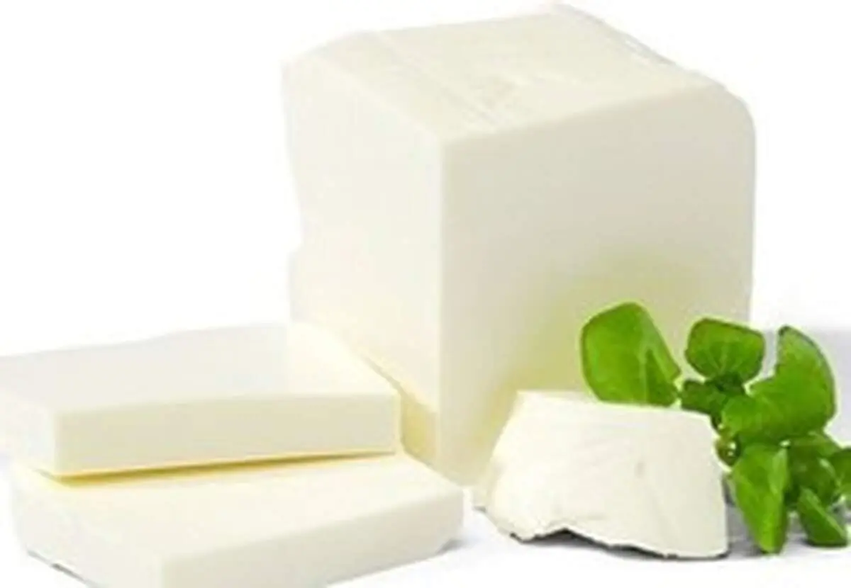 چگونه از پنیر نگهداری کنیم که خراب نشود؟