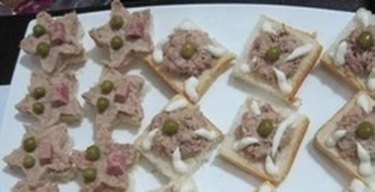 طرز تهیه کاناپ تن ماهی