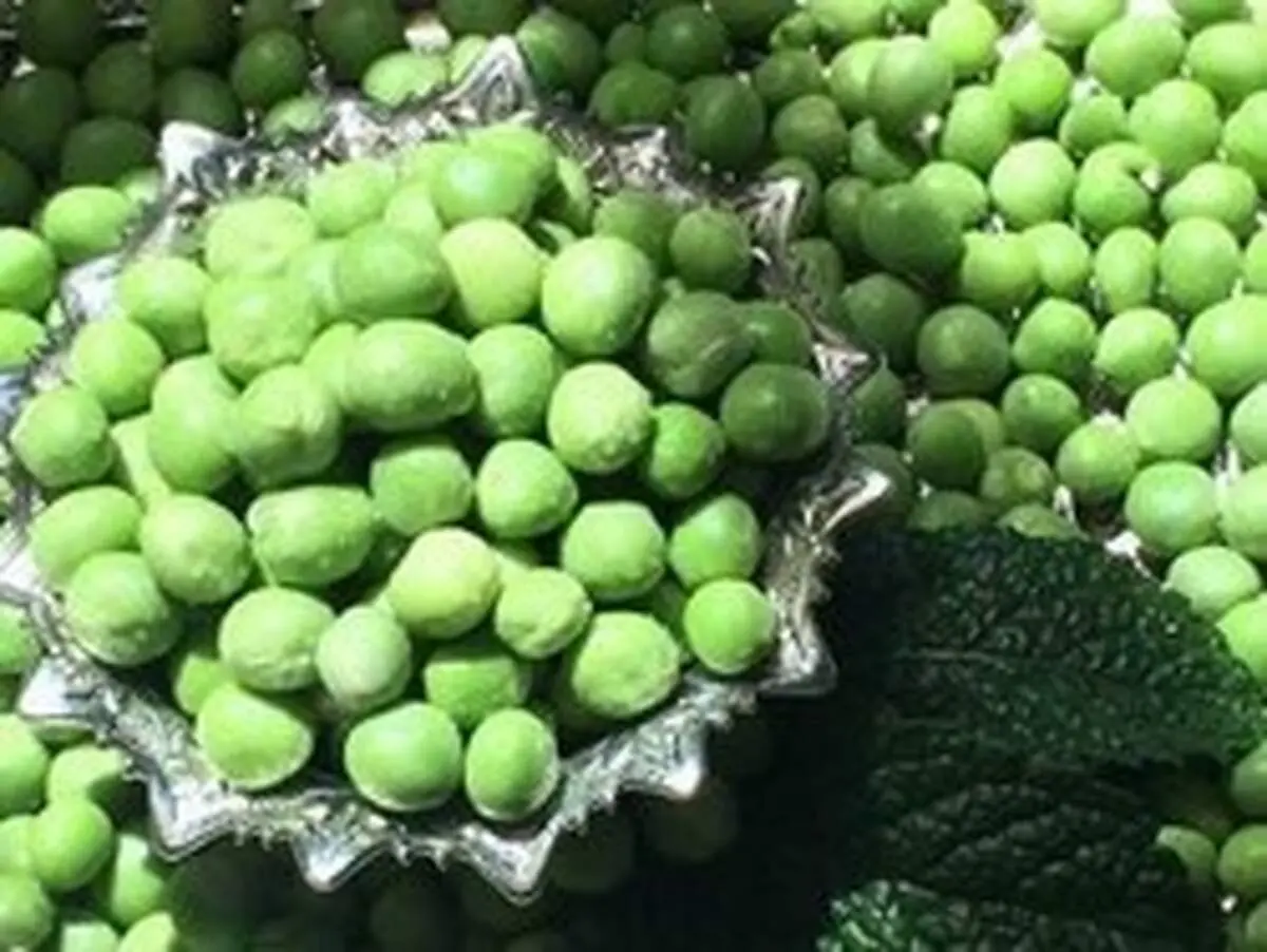 طرز تهیه کنسرو نخود فرنگی و روش نگه داری صحیح آن