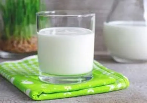 فواید شگفت‌انگیز کفیر؛ از گوارش بهتر تا کند شدن پیری

