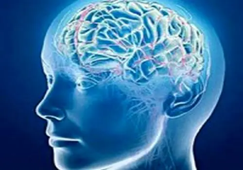نقش مهم ویتامین D در پیشگیری و درمان ام‌اس