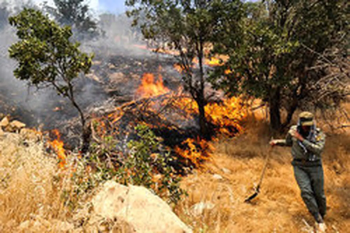 آتش سوزی جنگل‌های اندیمشک مهار شد