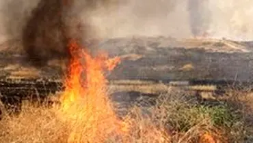 آتش سوزی مرگبار در مریوان ۴ کشته بر جای گذاشت