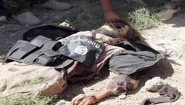 ۱۳۶ داعشی در «السویدا» به هلاکت رسیدند