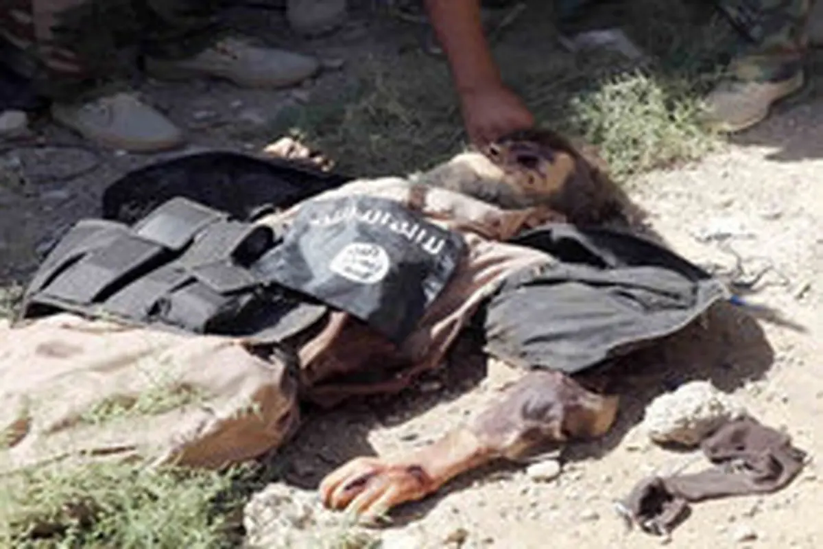 ۱۳۶ داعشی در «السویدا» به هلاکت رسیدند
