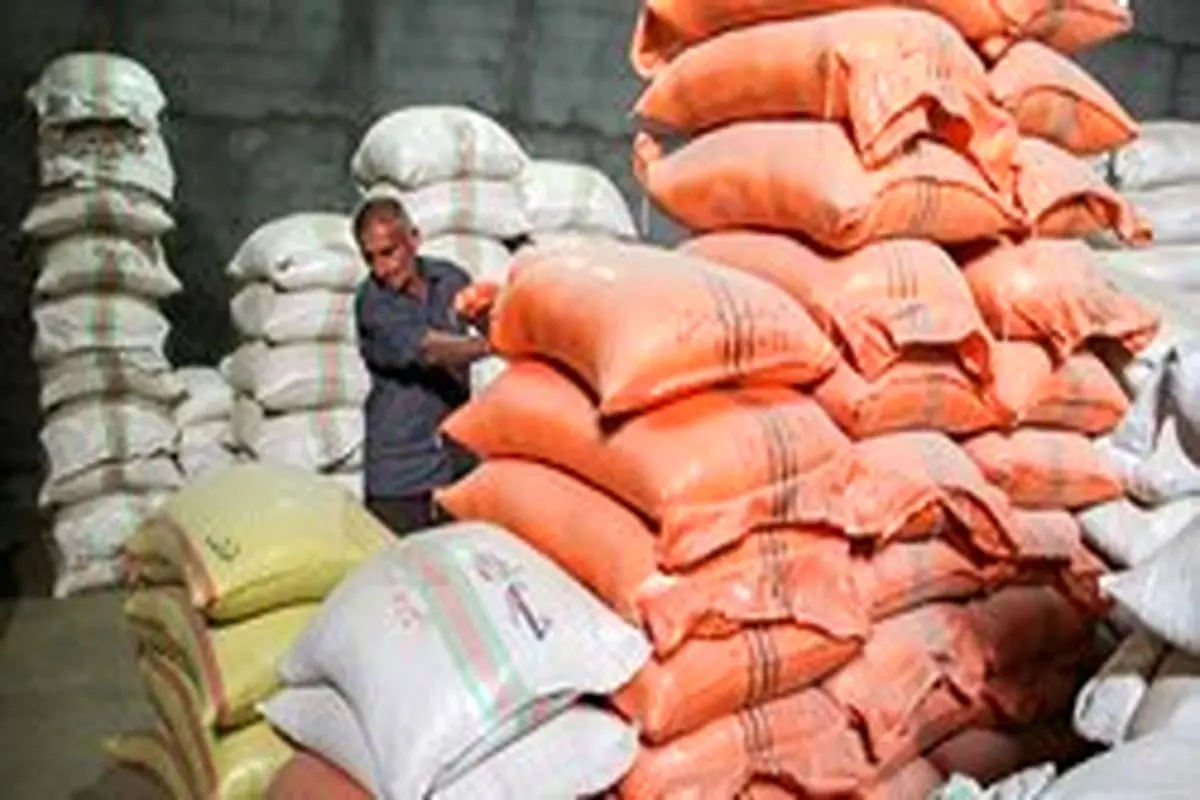 قیمت واقعی برنج هندی و پاکستانی اعلام شد +سند