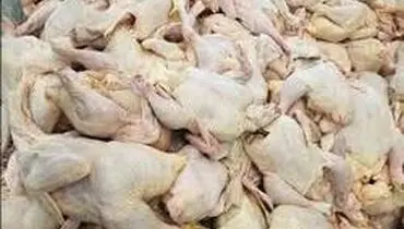 زمزمه‌های ۱۲‌هزار تومانی شدن مرغ در بازار