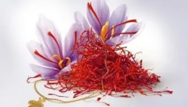 روش تشخیص زعفران اصلی از تقلبی