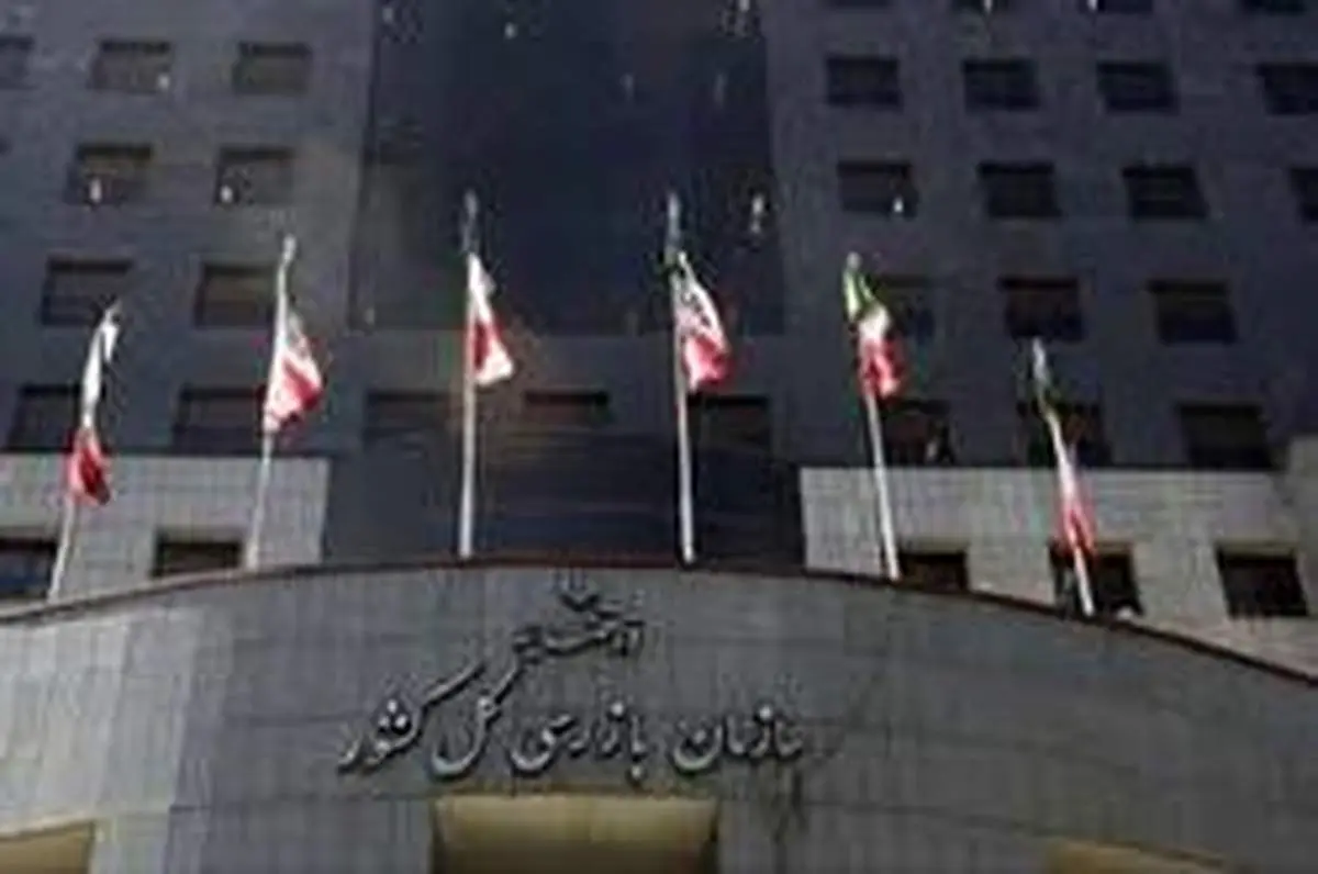 سازمان بازرسی به پرونده برادر رئیسجمهور ورود کند