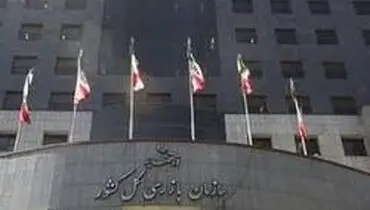 سازمان بازرسی به پرونده برادر رئیس‌جمهور ورود کند
