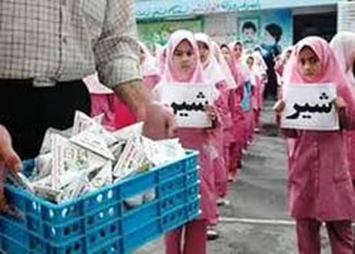 پیشبینی توزیع ۲۴ تا ۴۰ نوبت شیر در مدارس