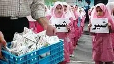 پیش‌بینی توزیع ۲۴ تا ۴۰ نوبت شیر در مدارس