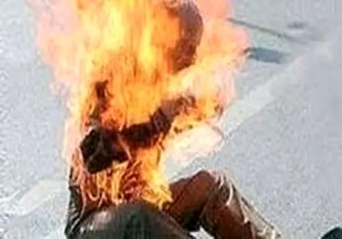 برنامه جدید پلیس اماکن اعلام شد/ نوبت به ون‌کافه‌ها و کارفودها رسید
