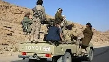 ناتو نسبت به فعالیت‌های القاعده هشدار داد