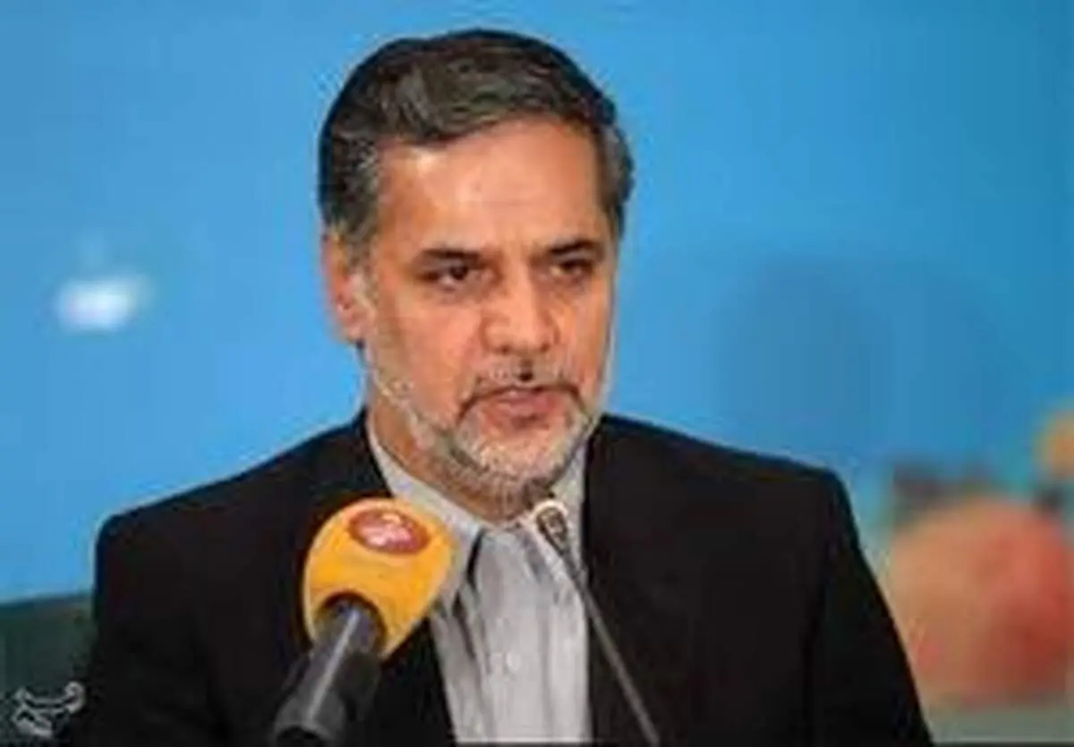 نقوی حسینی: دولت نباید متزلزل شود