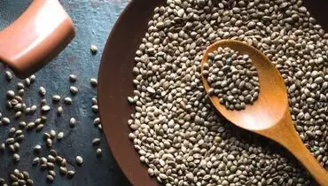 شاهدانه، دانه‌ای مغذی برای انسان‌ها