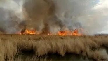 آتش سوزی در مراتع شهرستان بروجن