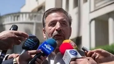 توضیحات واعظی درباره سخنگوی جدید دولت