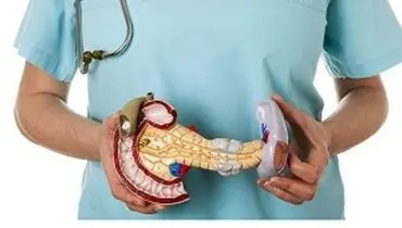 چند خوراکی برای حفظ سلامت لوزالمعده