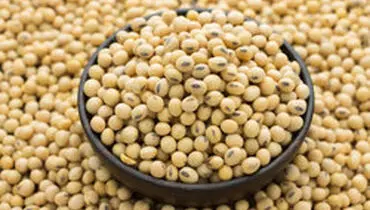 قیمت جو، ذرت، سویا و روغن خام اعلام شد