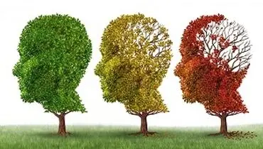رابطه شدت آلزایمر با فصول سال