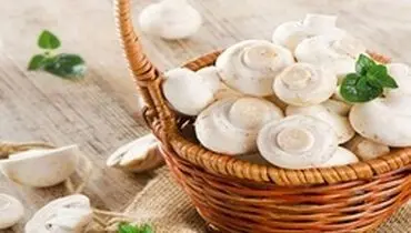 خوردن قارچ برای این بیماران ممنوع!