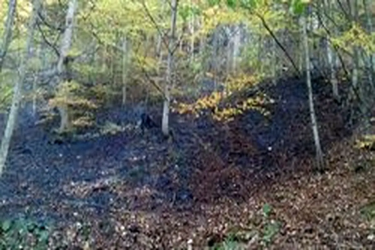 آتش سوزی قسمتی از جنگل «ابر»