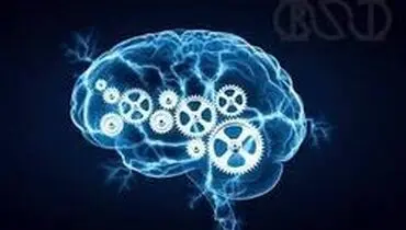 با کنار گذاشتن این عادات بد، از مغز خود محافظت کنید