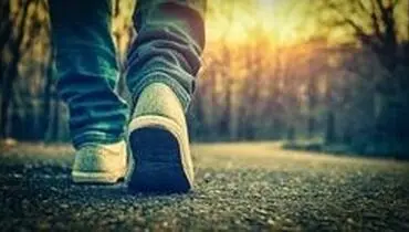 شناسایی فرایندهای عصبی موثر در نادیده گرفتن صدای گام‌ها