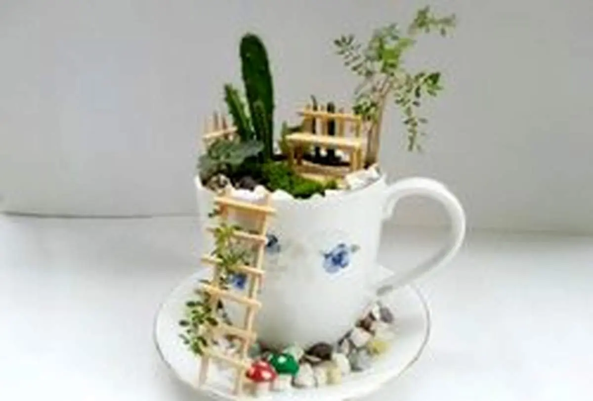 باغچه‌ای رویایی درون فنجان!