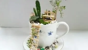 باغچه‌ای رویایی درون فنجان!