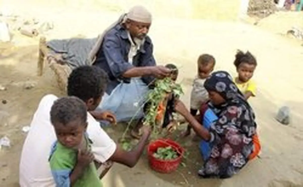 ساکنان یمن از گرسنگی به تغذیه از برگ درختان روی آوردهاند