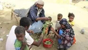 ساکنان یمن از گرسنگی به تغذیه از برگ درختان روی آورده‌اند