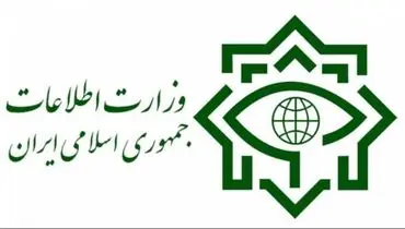 ممانعت از خروج غیرقانونی ارز از کشور توسط شبکه هرمی فایننشیال