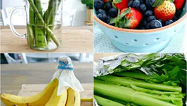 
مهارت هایی  برای تازه نگه داشتن مواد غذایی