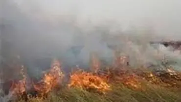 آتش هورالعظیم مهار شد