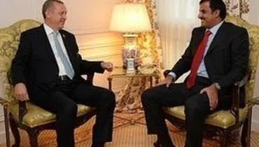 دفاع اردوغان از دریافت یک هواپیمای لوکس از امیر قطر