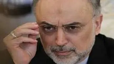 دیدار صالحی با رئیس سازمان انرژی اتمی چین