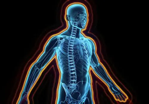 چه میزان سرب برای بدن بیش از حد محسوب می‌شود؟