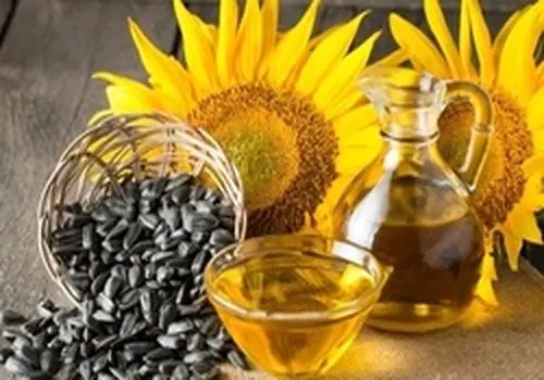 اگر مصرف گوشت را قطع کنیم چه اتفاقی برای بدن می‌افتد؟