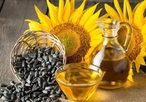 اگر مصرف گوشت را قطع کنیم چه اتفاقی برای بدن می‌افتد؟