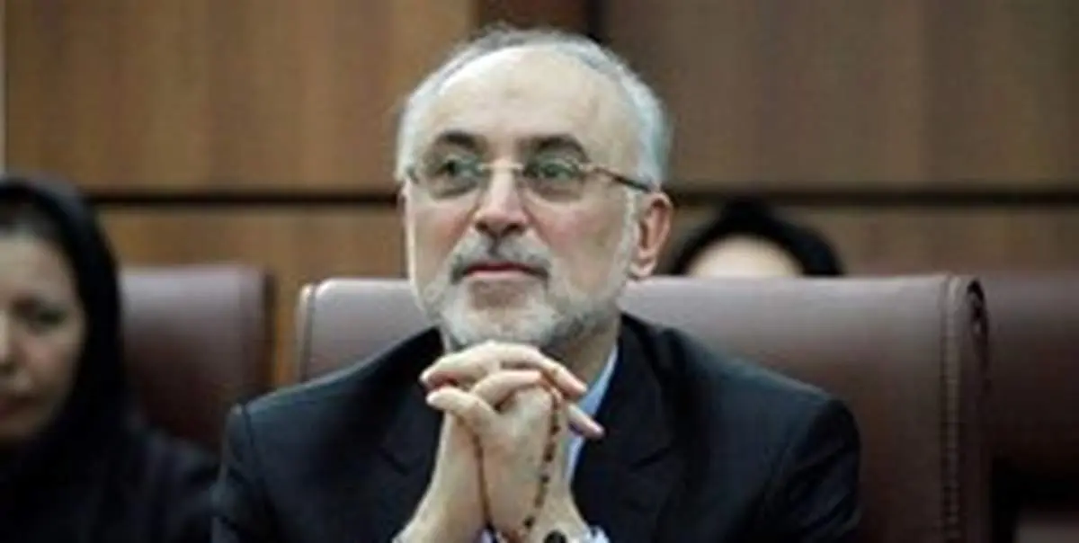 صالحی: برجام فرو بپاشد، برنامه هستهای تسریع میشود