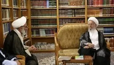 آیت الله مکارم شیرازی: سپاه در خط مقدم پشتیبانی از نظام است