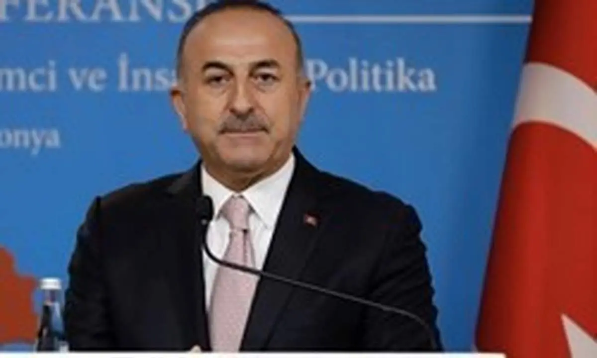 حاضریم در ادلب با روسیه و ایران علیه تروریست ها همکاری کنیم