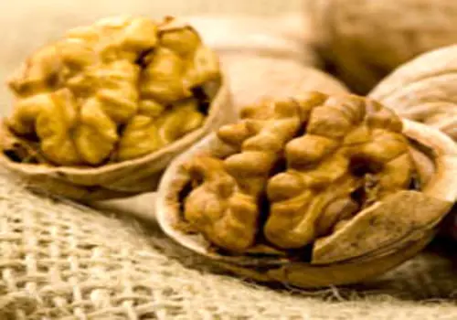 مصرف این چربی‌های سالم را در اولویت بگذارید