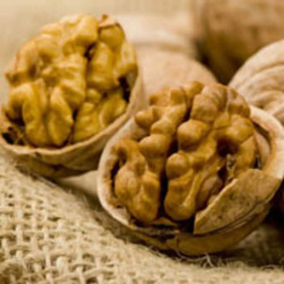 ۶ آجیل با ارزش را بشناسید