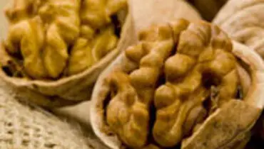۶ آجیل با ارزش را بشناسید
