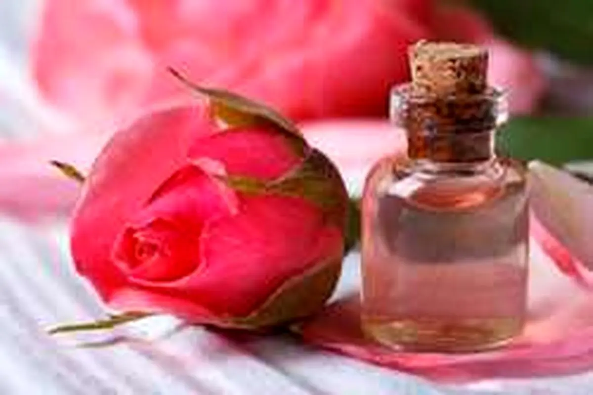 خواص گلاب برای سلامتی بدن