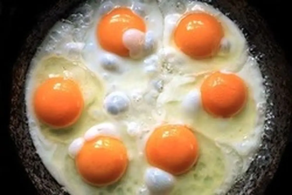 ۱۲ فایده تخم مرغ برای بدن